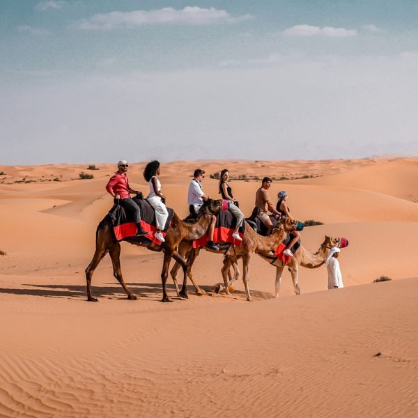 dubai-camel-rides