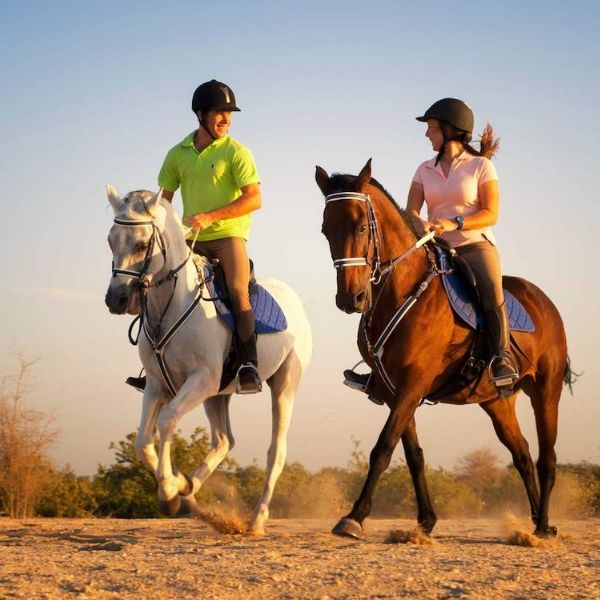 dubai-horseback-safaris