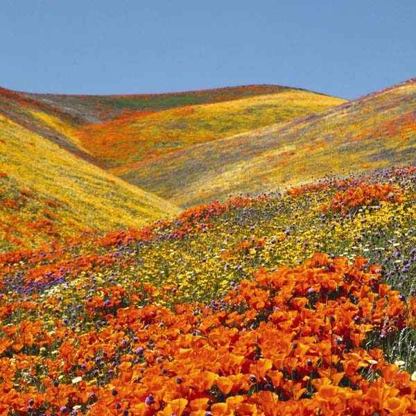 kitulo-national-park