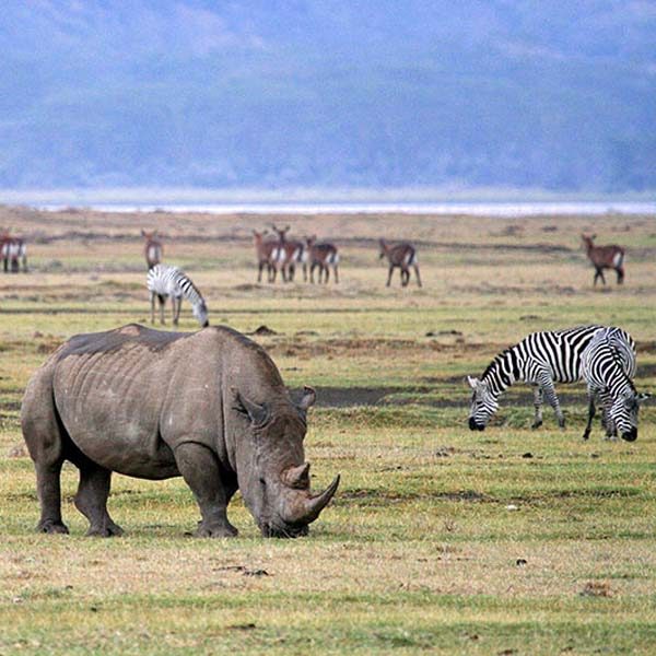 ngorongoro-national-park