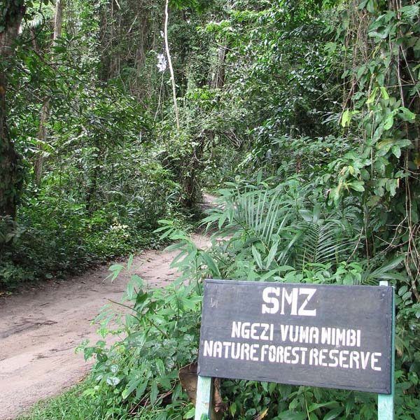 pemba-ngezi-forest-tour