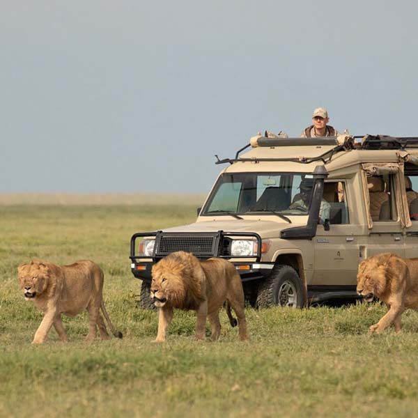 serengeti-national-park