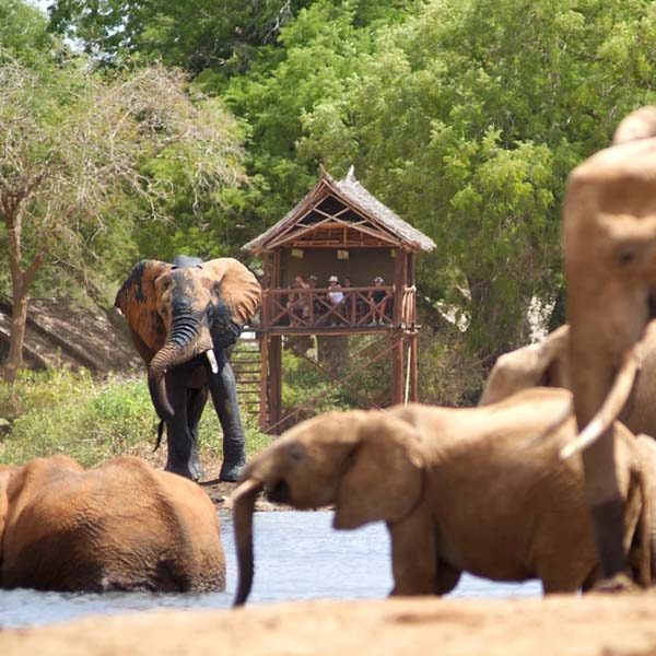 tsavo-east-national-park
